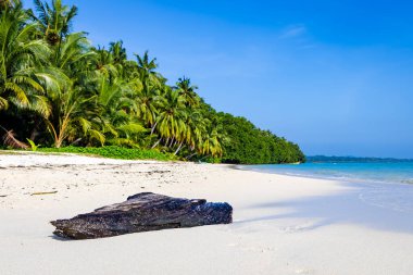 Andaman ve Nicobar Adaları 'ndaki Havelock Adası' ndaki Radhanagar Sahili 'nde kayan dalgalar ve parlak mavi gökyüzü görüntüleriyle izole edilmiş el değmemiş beyaz kumsal görüntüsü çekilmiştir..