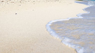 Deniz Dalgaları Kumsalda yuvarlanan beyaz köpük Sabah Kumsalında