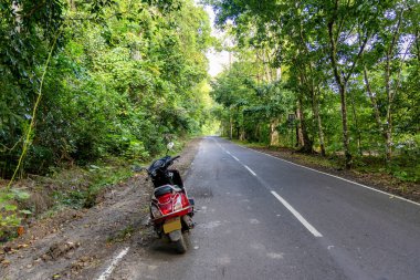 Motosikletli iki tekerlek boş orman yolunda sabah yemyeşil ormanlarla