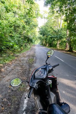 Motosikletli iki tekerlek boş orman yolunda sabah yemyeşil ormanlarla