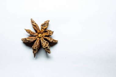 Yeni izole edilmiş yıldız anason beyaz arkaplan stüdyo çekimine yakın çekim