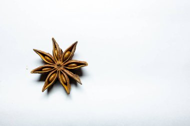 Yeni izole edilmiş yıldız anason beyaz arkaplan stüdyo çekimine yakın çekim