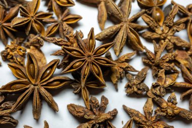 Taze yıldız anason beyaz arkaplan stüdyo çekimine yakın çekim