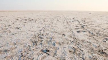 Beyaz tuz düzlükleri çöl, araç tekerleği çizgileri ve parlak mavi gökyüzü sabah beyaz tuz düzlüğü çöl şafak vakti dramatik turuncu gündoğumu gökyüzü video dhordo kutch beyaz rann gujrat Hindistan 'da çekilmiştir..