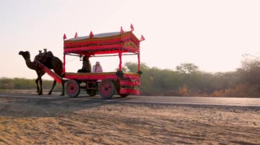 Uzak asfalt yolda koşan süslü deve arabası. Parlak gündoğumu gökyüzü videosu Dhordo Kutch White Rann Gujrat Hindistan 'da çekildi..