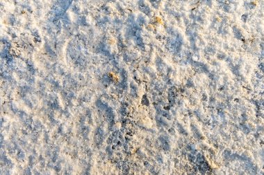 Beyaz tuz tabakaları, sabah görüntülerinde tuz düzlüklerini kapatıyorlar. Dhordo kutch beyaz rann gujrat Hindistan 'da çekiliyor..