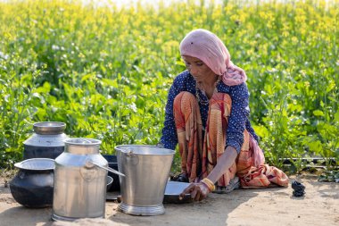 Fakir köylü kadınlar yoksulluk sınırının altında yaşıyor arkalarında hardal tarlalarıyla bulaşık yıkıyorlar.