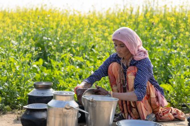 poor malnutrition village women living below poverty line washing dishes with mustard fields behind clipart