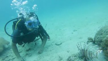 Scuba dalgıcı, kırmızı aslan balığıyla su altında maceralı derin deniz dalışının tadını çıkarıyor.