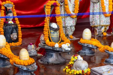 Hindu tanrısı Shivalinga tapınakta çelenk adamış bir dindar tarafından tapılıyor.