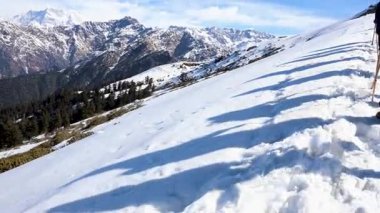 Taze karlı araziye uzanan grup gölgeleri