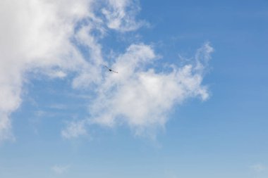 Sonsuz parlak mavi gökyüzü ve yalıtılmış kuş sabah yüksekten uçuyor.