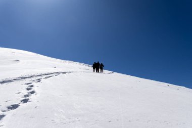 Öğleden sonra karla kaplı dağ zirvesine çıkan bir grup yürüyüşçü Chopta Tungnath Himalayas Dağı Chandrashila Yürüyüşü uttarakhand Hindistan 'da görüntülenmiştir..