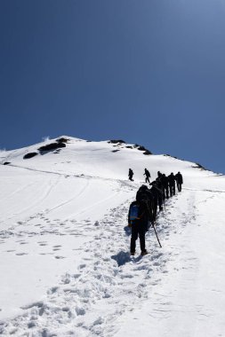 Gün ışığında açık mavi gökyüzü altında karlı zirveye tırmanan yürüyüş ekibi Chopta Tungnath Himalayas dağında çekildi. Chandrashila dağında..