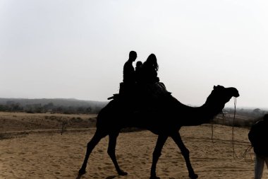 Turistler çölde deve sürüşünün keyfini çıkarıyorlar. Parlak gökyüzü ve arka planda çekim görüntüleri Hindistan, Rajasthan 'da çekiliyor..