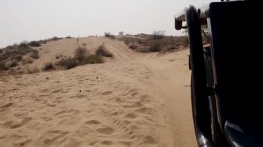 San Kum tepeleri safarisi ve çöllerde gün içinde otomobille farklı açılardan indirme Rajasthan, Hindistan 'da çekiliyor..