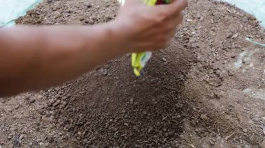 Neem Khali bahçedeki toprağın kalitesini arttırmak için bahçe toprağıyla karışıyor.