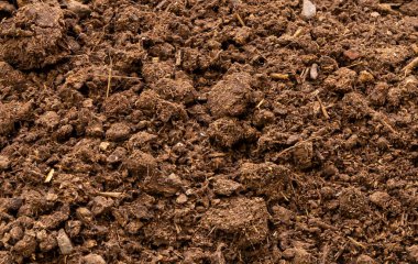 İnek gübresi açık hava plastiğinde saklanır.