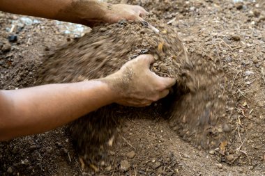 Bahçede elle karıştırılmış organik gübre ile doğal toprak hazırlığı