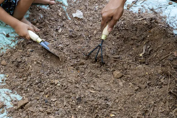 Ebeveyn ve çocuğun elleri bahçede toprağı birlikte temizliyor.
