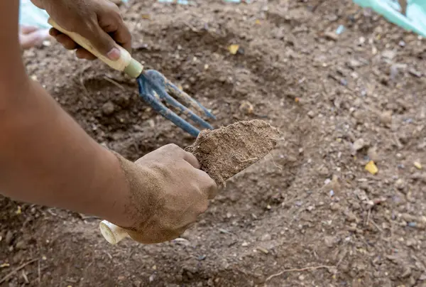 Bahçede elle karıştırılmış organik gübre ile doğal toprak hazırlığı