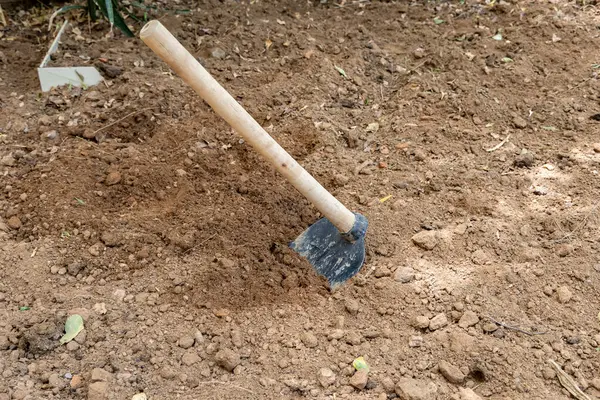 Çiftlik arazisindeki sürgülü toprağın içinde manuel tarım aleti çapası.