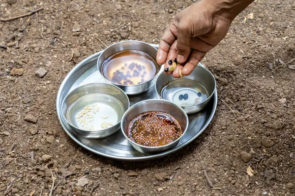 Dışardaki çiftçiler tarafından gösterilen kaseye çeşitli tohum ektiler.