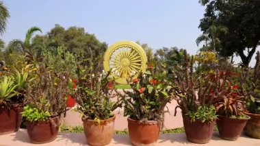 İndias ashoka çarkı taşa kazınmıştı. Gün ortasında yeşilliğin ortasında.