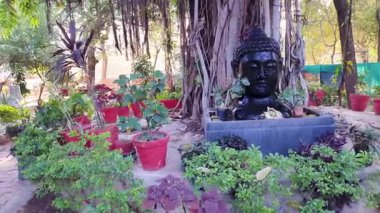 Kutsal Buda heykeli dışarıda güneş ışınlarıyla parlıyor.