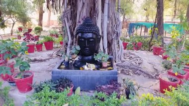 Huzurlu Buda heykeli, sabahları çeşmeli.