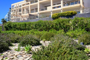 Çiçek açan yeşil çalıları, sulu suları ve pürüzsüz düz taş yolları olan bahçe, balkonları ve terasları olan modern bir binaya karşı kurulmuş. Önplan bitkilerine seçici odaklanma.