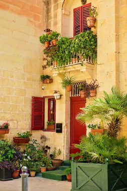 Geleneksel Akdeniz evi ön cephesi kırmızı kapılı, pencereli, çiçekli balkon, palmiye ağacı ve avluda dekoratif bitkiler.