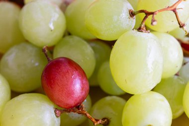 Yeşil üzümlerin arasında duran kırmızı üzüme yakın plan.