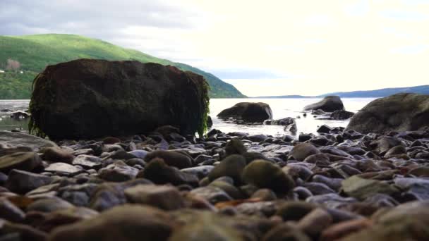 尼斯湖岸边湿透的卵石和苔藓覆盖的岩石 低角度视图 — 图库视频影像