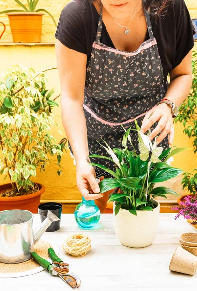 Bir bahçe bitkisiyle ilgilenen genç bir kadının görüntüsü. Bahar, bahçıvanlık ya da çiçekçilik kavramı. Dikey.