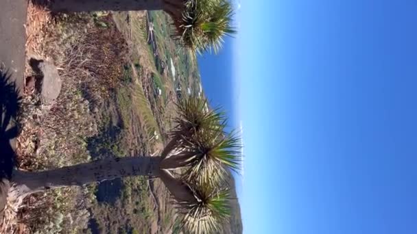 Vista Panorámica Isla Palma Canarias España Mar Vegetación Las Montañas — Vídeo de stock