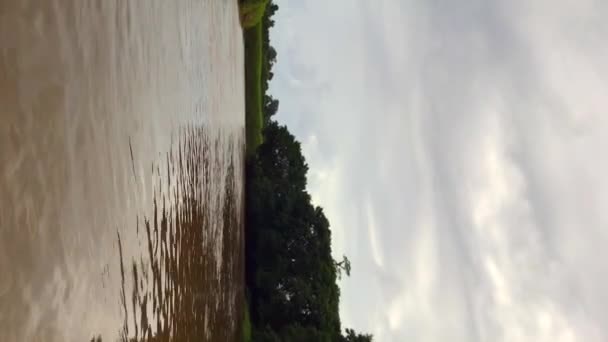 Vista Primeira Pessoa Navegação Barco Rio Parque Nacional Tortuguero Costa — Vídeo de Stock