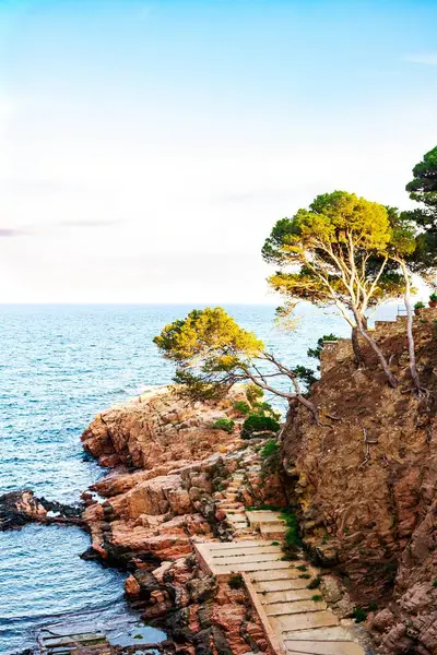 Trappen Aflopend Naar Zee Vanaf Kustklif Van Costa Brava Catalonië Rechtenvrije Stockafbeeldingen