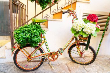 Fesleğen ve çiçeklerle süslenmiş bisiklet Taormina, Sicilya, İtalya 'da beyaz bir duvarın yanına park edilmiş.