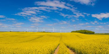 Kolza tarlasında bir rüzgar çiftliğinin panoramik görüntüsü