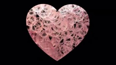 Valentines Heart animasyon videosu ve alfa kanalı. Birden fazla proje için Valentine teması