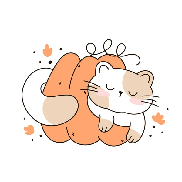 Draw Funny Cat Sleeping Pumpkin Kawaii Cat Pumpkin Thanksgiving Autumn — Stock Vector