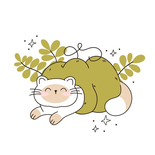 画一只滑稽的猫躺在南瓜卡瓦猫与南瓜为感恩节和秋季秋天的病媒猫字符收集 涂鸦卡通片风格 — 图库矢量图片