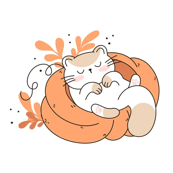 画一只睡梦中的猫 与南瓜搭配在一起 作为感恩节和秋天的象征 以说明猫的性格 涂鸦卡通片风格 — 图库矢量图片