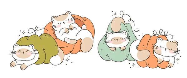 感謝祭と秋のベクトルイラストの猫のキャラクターコレクションのためにカボチャとカボチャのカワイイ猫で寝そべって面白い猫を描きます 落書き漫画のスタイル — ストックベクタ