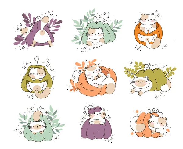 在南瓜卡瓦猫和南瓜中画有趣的猫 作为感恩节和秋季的秋天矢量 以说明猫的性格 涂鸦卡通片风格 — 图库矢量图片