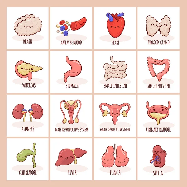 Set Carte Allenamento Con Personaggi Stile Cartone Animato Diversi Organi — Vettoriale Stock