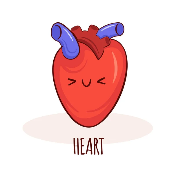 Herzfigur Comic Maskottchen Mit Lustigem Gesicht Herz Menschliche Anatomie Trainingskarte — Stockvektor