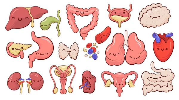 Set Geïsoleerde Pictogrammen Met Stripfiguren Van Verschillende Menselijke Inwendige Organen — Stockvector