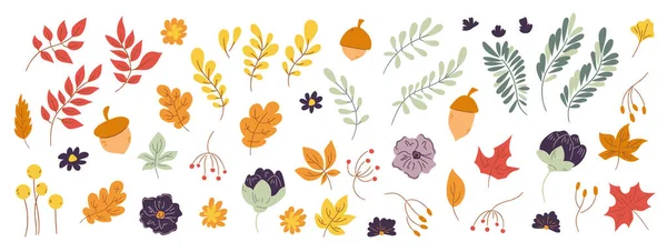Doodle Σύνολο Ζωγραφισμένα Στο Χέρι Πτώση Floral Στοιχεία Σχεδιασμού — Διανυσματικό Αρχείο